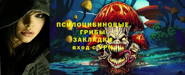 шишки Балабаново