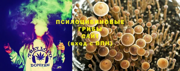 шишки Балабаново