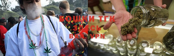 шишки Балабаново